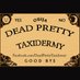 DeadPretty Taxidermy (@prettytaxidermy) Twitter profile photo