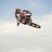 marcocommisso's profile image