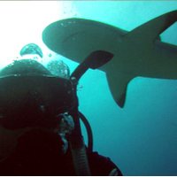 Keith Devereaux (@keith_devereaux) 's Twitter Profile Photo