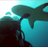 keith_devereaux's profile image