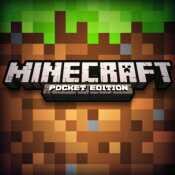 Minecraft Fan play Xbox live ps3 ps2 pep Wii dsi more best a fighting games