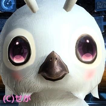 PSO2NGS【SHIP8】
細々とアクセサリー作ってますが停滞中
日本・中国史好きの貴腐人
(最近は三國無双オリジンズプレイ中)
これでもがんサバイバー
(手術済・経過観察中)
【エ◯垢はスパブロする所存】