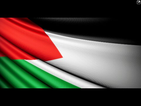 We pray for the freedom of Palestine, Kashmir and Egypt under oppressive regimes. Palestine, Kashmir and Egypt WILL be free  insha ALLAH.