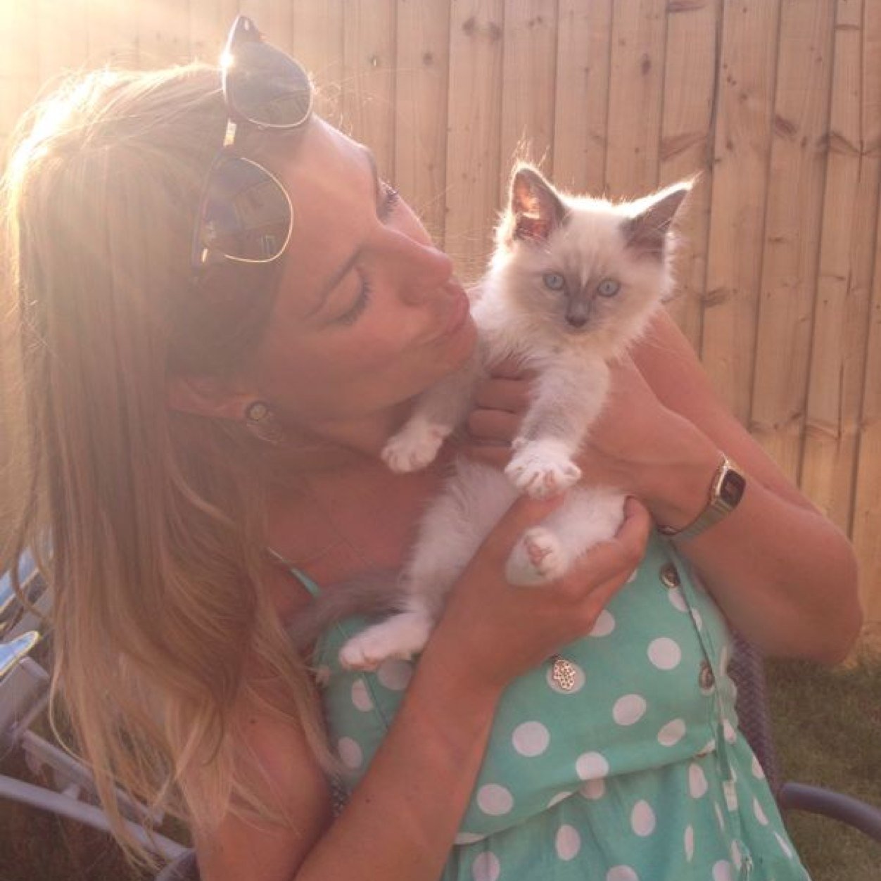 Adore cats.