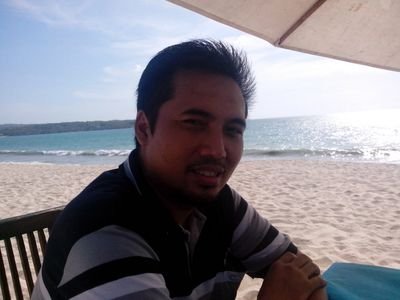 Consultant and Lecturer (FEUI)