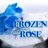 Frozen Rose