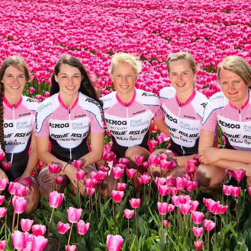 Skeelerteam gesponsord door XL Tulips & Powerslide. Co-sponsor Bemog Projektontwikkeling #welovetoskate damesskeelerteam.nl