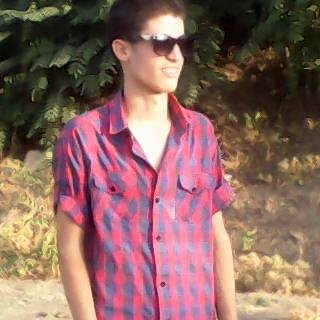 bassetlekdim's profile picture. 