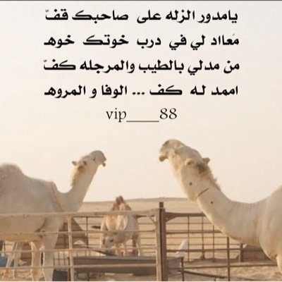 إذا رأيت الناس يُعجبون بك فلا تغتر! قُل : الحمدُلله الذي أظهرَ الجمِيل  وستر القبيح (إن وجدتم مايؤجرني أنشروه ... وإن وجدتم ما يؤثمني أتركوه ) الخرج