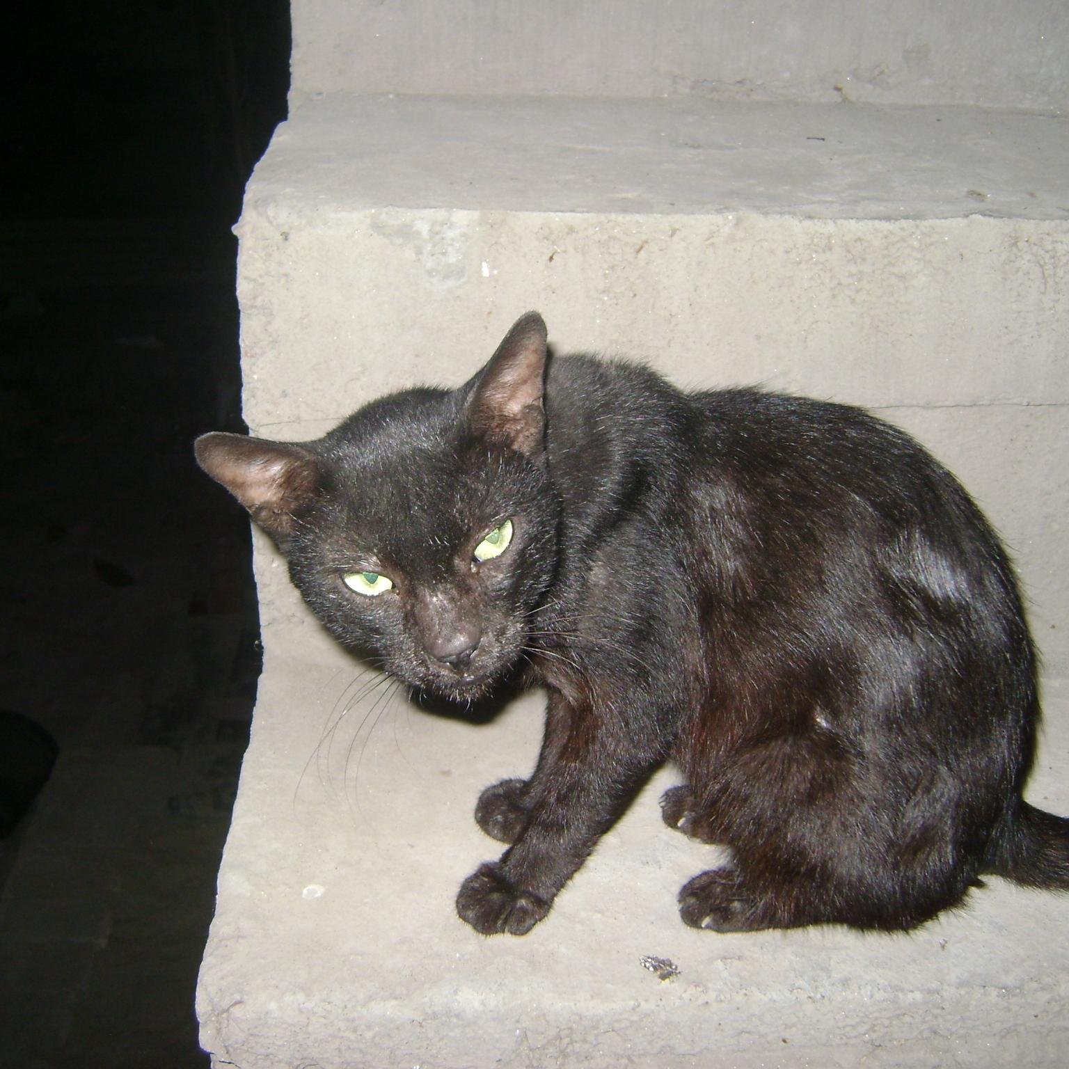 Afjalahamad's profile picture. 