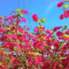 k_Wendy_k's profile picture. 