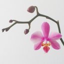 Hazel-Ruth - @hazelruthharris - Twitter