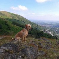 Saul Bolton (@sauly354) 's Twitter Profile