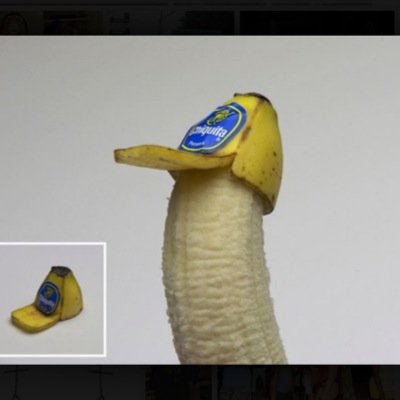 JaydenjaydogQ's profile picture. 