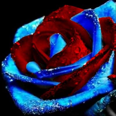 margagilbert's profile picture. 