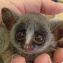 Gina Silver - @GigiSilver - Twitter