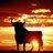 bravosant314's profile image