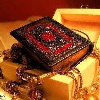 fatimazq's profile picture. 