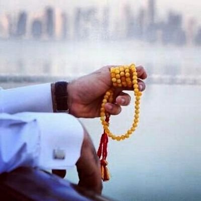 ‏‏‏‏‏‏‏‏‏‏‏‏عاشق ومتذوق للقصايد...♡