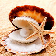 traveleering's profile picture. Discover amazing places that you must see in your lifetime!