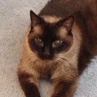 Lib Grimmett - TX Queen B - TXQUEENB.COM (@libgrim) 's Twitter Profile