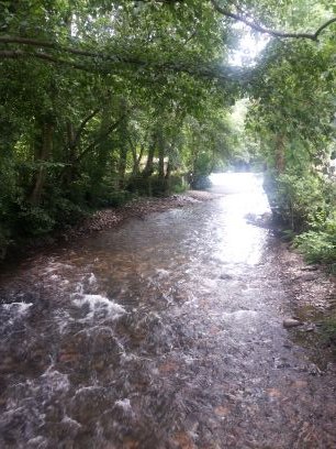 tgcaballero's profile picture. 