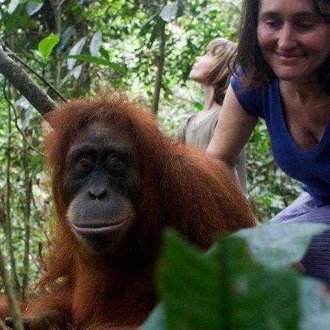 Midwifery and research. Interested in biodiversity, conservation, egalitarianism   and photography. Q member #healthfoundation #perinatalmentalhealth