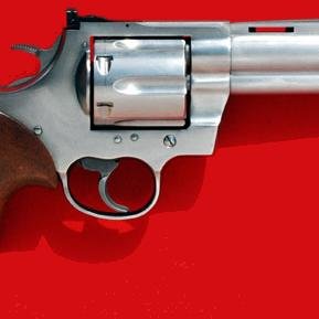 MagnificentArms's profile picture. 