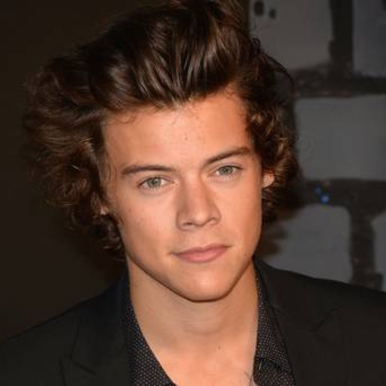 There's one thing that matters and that's Harry Edward Styles