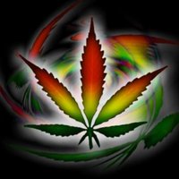 Weed Tweets ™ (@theweedpage) 's Twitter Profile Photo