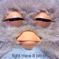 Jeffm (@randomjeff) 's Twitter Profile Photo