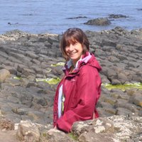 Judith Barnett (@judithabarnett) Twitter profile photo