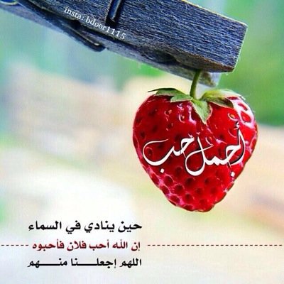 فصبر جميل والله المستعان
