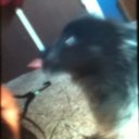 Bennett Lopez - @Shadow0155 - Twitter