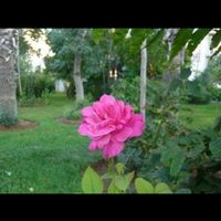 المتفائل . (@aaazsss96) Twitter profile photo