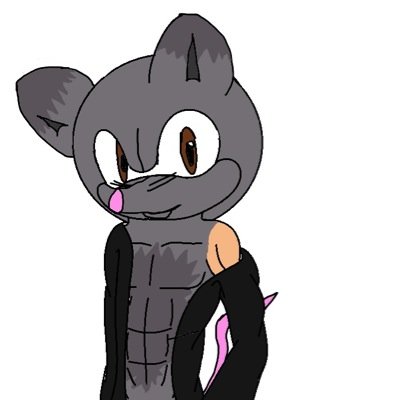 There's not much to say about me, although, my name's Benny and I like the snow. I'm a opossum and will play dead if threatened [#SonicTwitter #Single]