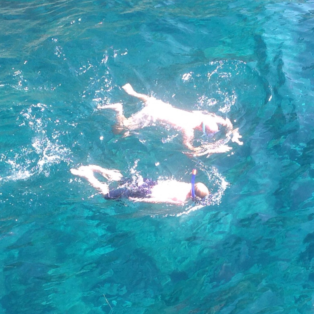 letti_life's profile picture. 