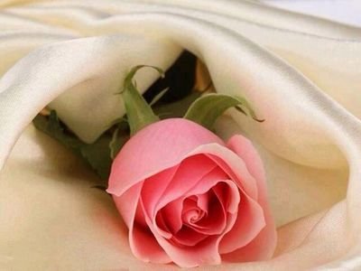 0feb8972947a441's profile picture. 