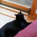 Dan Cade - @dancade14 - Twitter