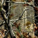 Michael Roberson - @michaelbryce201 - Twitter