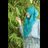 Astikafarm's profile image
