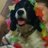NLuttenegger's profile image