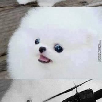Kunai is ded i cri eveytiem