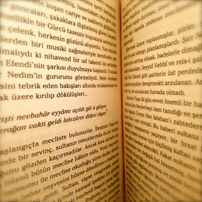 Yazar kitabının son cumlesinde okuyun dedi.Okumak Faydalıdır.Kitaplari sevin, Okumayi sevin, Yazmayi sevin.Dunyada sizi birakmicak tek dostlardir kitaplar.