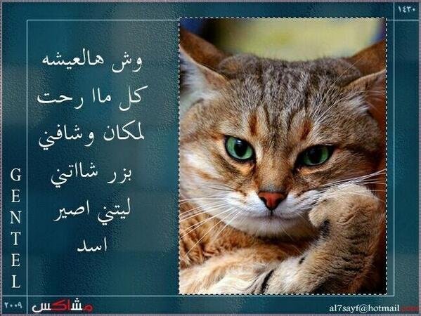 نكت 2014