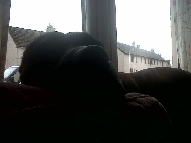 yvonnerae3's profile picture. 