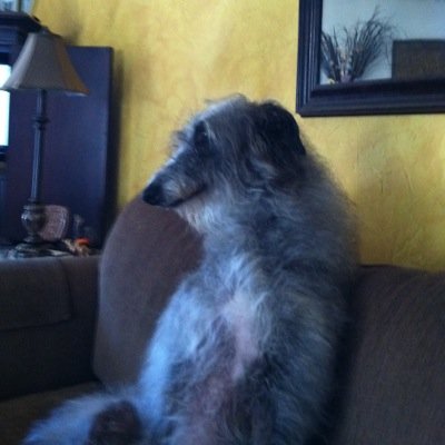 minor_pamala's profile picture. 