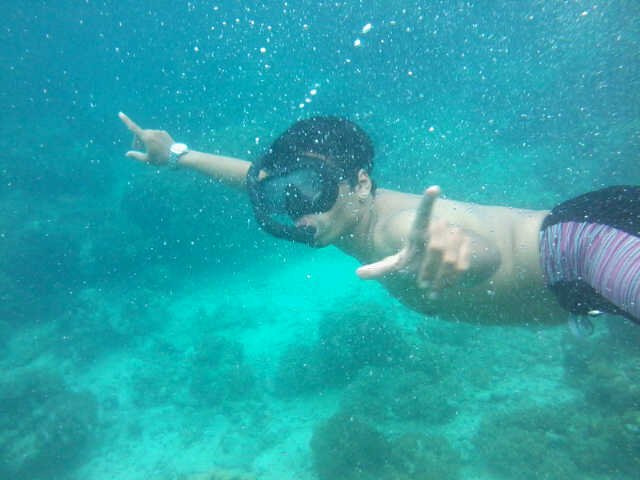 fahrudin h
