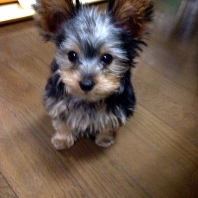 音楽と読書が好きな社会人です。気軽にフォローしてね^_^ クラシックから邦ロックまで広く浅く聴いてます。お勧めの曲や本があったら教えてくださいね。ピアノ弾きます。