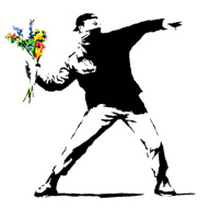 flowerthrower's profile picture. Writer, Sydneysider,